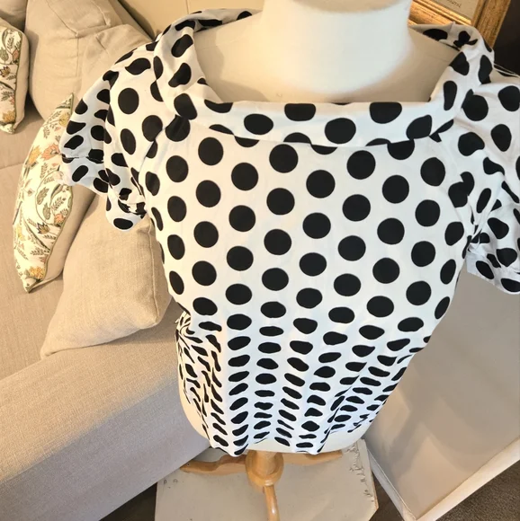 Ann Taylor: Black and White Polka Dot Blouse.  27 - Picture 2 of 4